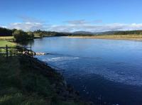 Autumn Salmon Fishing On The Tay 
