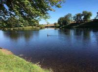 Capture A Moment Of River Tay Beauty 
