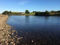 River Tay Salmon Fishing Events 
