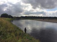 Group Salmon Fishing Events 
