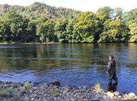 Scottish Salmon Fishing Guides 
