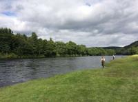 Salmon Fishing Tuition On The River Tay 
