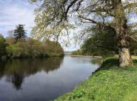 Fishing For Salmon On The Tay 
