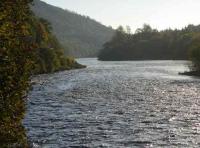 The River Tay At Dunkeld 
