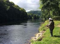 Fishing The Tay In Summer 
