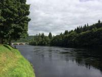 Catch A River Tay Salmon 
