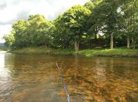 Fly Fishing On The River Tay 
