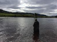 Playing Salmon On The River Tay 
