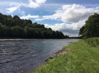 The River Tay In Summer 

