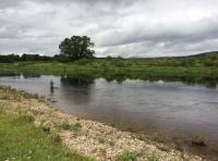 Fishing The River Tay 
