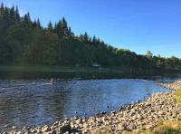 Fishing For Summer Salmon 
