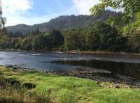 The Perfect Salmon Pools Of The River Tay 
