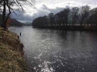 The Perfect Scottish Riverbanks 
