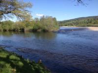 Fishing The Salmon Rivers Of Scotland 
