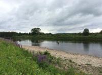The River Tay In Perthshire 
