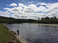Salmon Fishing Instruction In Scotland 
