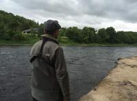 Salmon Fishing Tuition 
