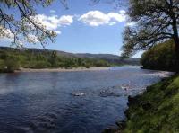 Catching Scottish Salmon On The River Tay 
