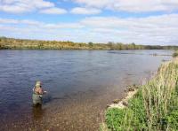 Fishing For Salmon On The River Tay 
