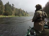 Catching Salmon From The Boat 
