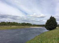 Perthshire's Natural Riverbank Beauty 
