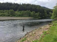 Fly Fishing On Scottish Salmon Rivers 

