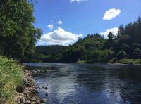 Salmon Fishing The River Tay 
