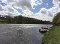 Fishing From The Boat On The River Tay 
