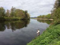 Fishing For Spring Salmon In Scotland 
