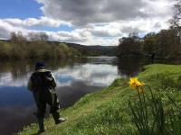 Spring Salmon Fishing In Scotland 
