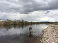 River Tay Fishing Events 