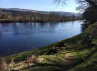 Scottish Spring Fishing For Salmon 
