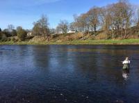 Fishing On The Mighty River Tay 