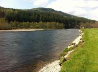 Fishing For Salmon On The River Tummel 
