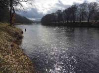 Fishing The River Tay For Salmon 