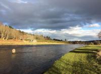 Fishing On The Beatiful River Dee Near Banchory 
