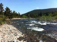 Hospitlaity Salmon Fishing 
