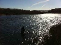 Fishing Entertainment In Scotland 
