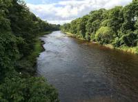 Fishing For Salmon On The River Dee 
