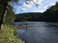 Fishing For The King Of Fish 
