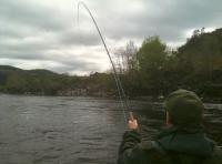 Catching A Big Scottish Salmon 