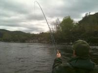 Catching A Big Scottish Salmon 
