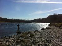 Catching An Early Run Spring Salmon 

