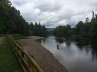 Fishing Scotland's Finest Salmon Rivers 
