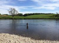 Reading The Salmon River 
