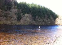 Where To Find Your First Salmon 
