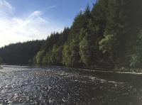 Treat Yourself To Some River Therapy 
