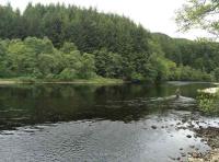 Fishing The Fly For Salmon 

