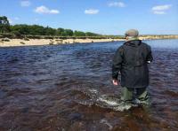 Fishing Scotland's Salmon Rivers 
