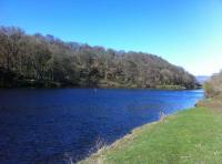 Perfect Spring Salmon Fishing Days 
